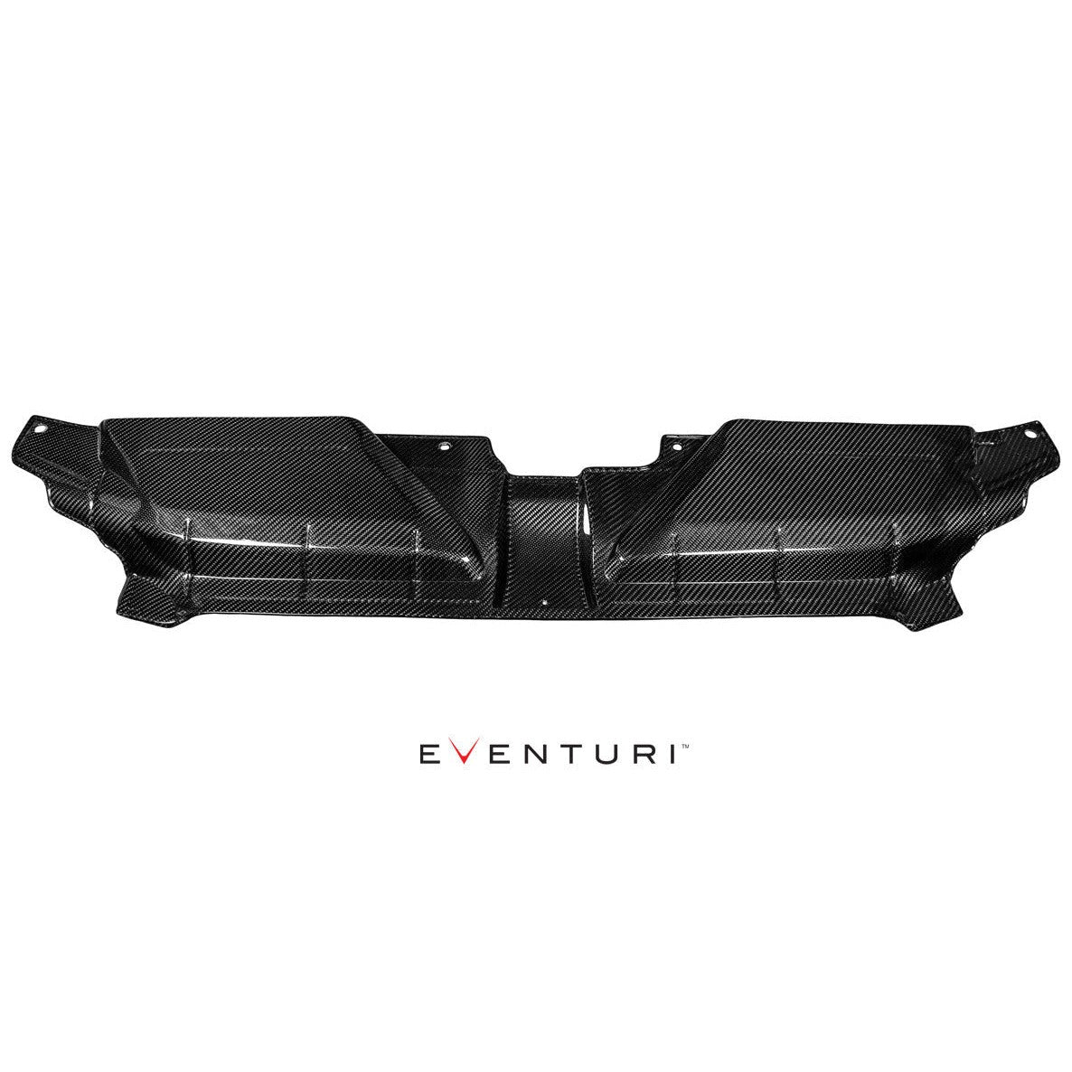 Eventuri Audi B8/B8.5 RS5 Carbon Slam Panel Cover